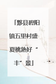 黟县碧阳镇五里村盛夏桃熟好“丰”景