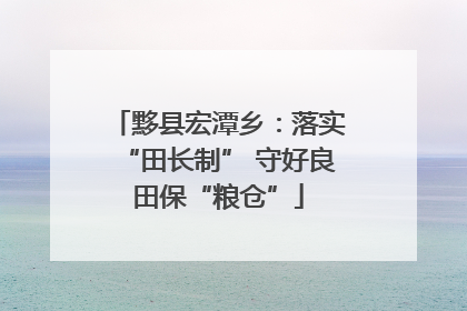 黟县宏潭乡：落实“田长制” 守好良田保“粮仓”