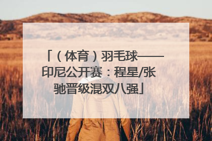 （体育）羽毛球——印尼公开赛：程星/张驰晋级混双八强