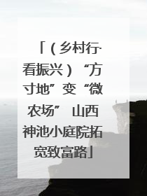 （乡村行·看振兴）“方寸地”变“微农场” 山西神池小庭院拓宽致富路