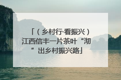 （乡村行·看振兴）江西信丰一片茶叶“沏”出乡村振兴路