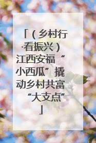 （乡村行·看振兴）江西安福“小西瓜”撬动乡村共富“大支点”