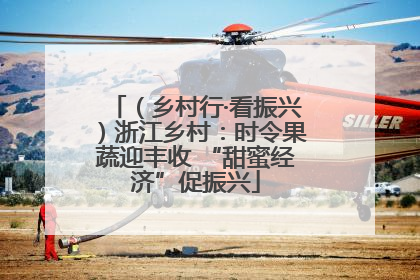 （乡村行·看振兴）浙江乡村：时令果蔬迎丰收 “甜蜜经济”促振兴