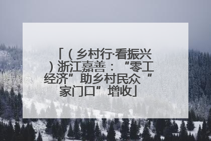 （乡村行·看振兴）浙江嘉善：“零工经济”助乡村民众“家门口”增收