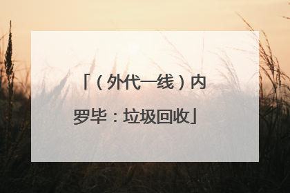 （外代一线）内罗毕：垃圾回收