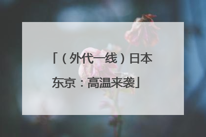（外代一线）日本东京：高温来袭
