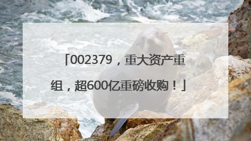 002379，重大资产重组，超600亿重磅收购！
