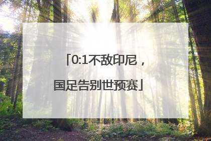 0:1不敌印尼，国足告别世预赛