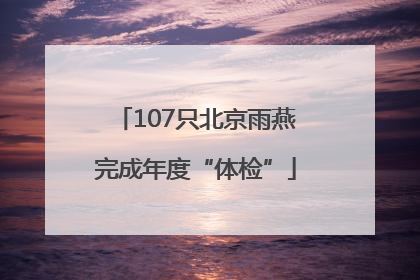 107只北京雨燕完成年度“体检”