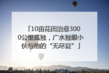 10亩花田治愈3000公里孤独，广水独眼小伙与他的“无尽夏”