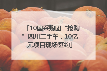 10国采购团“抢购”四川二手车，10亿元项目现场签约