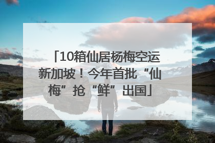 10箱仙居杨梅空运新加坡！今年首批“仙梅”抢“鲜”出国