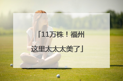 11万株！福州这里太太太美了