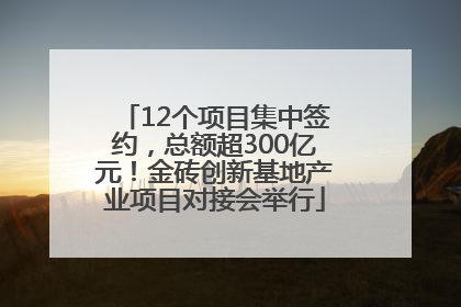 12个项目集中签约，总额超300亿元！金砖创新基地产业项目对接会举行
