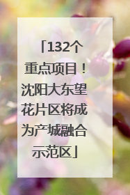 132个重点项目！沈阳大东望花片区将成为产城融合示范区