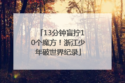 13分钟盲拧10个魔方！浙江少年破世界纪录