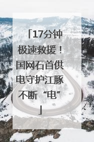 17分钟极速救援！国网石首供电守护江豚不断“电”