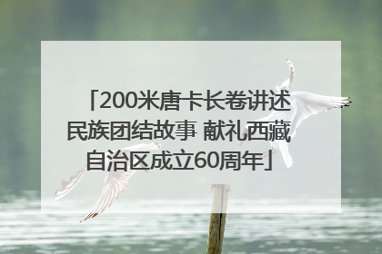 200米唐卡长卷讲述民族团结故事 献礼西藏自治区成立60周年