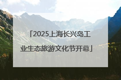 2025上海长兴岛工业生态旅游文化节开幕