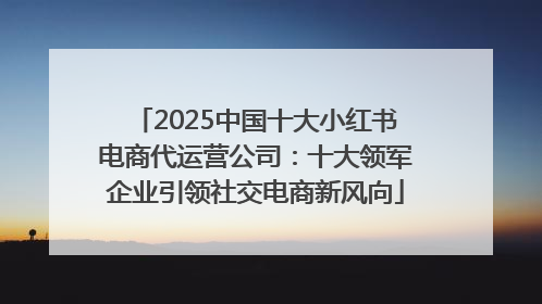2025中国十大小红书电商代运营公司：十大领军企业引领社交电商新风向