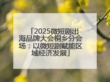 2025微短剧出海品牌大会桐乡分会场：以微短剧赋能区域经济发展