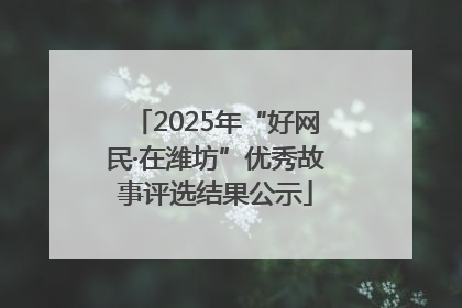 2025年“好网民·在潍坊”优秀故事评选结果公示