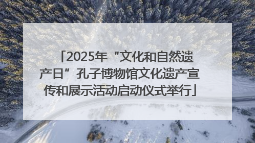2025年“文化和自然遗产日”孔子博物馆文化遗产宣传和展示活动启动仪式举行