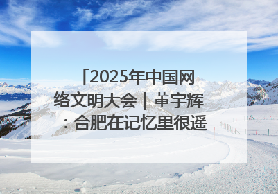 2025年中国网络文明大会｜董宇辉：合肥在记忆里很遥远也很亲切