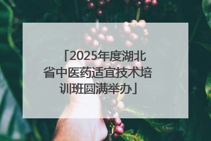 2025年度湖北省中医药适宜技术培训班圆满举办