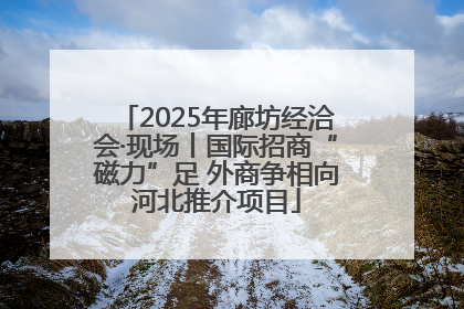 2025年廊坊经洽会·现场丨国际招商“磁力”足 外商争相向河北推介项目