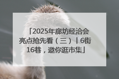 2025年廊坊经洽会亮点抢先看（三）丨6街16巷，邀你逛市集