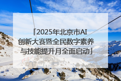 2025年北京市AI创新大赛暨全民数字素养与技能提升月全面启动