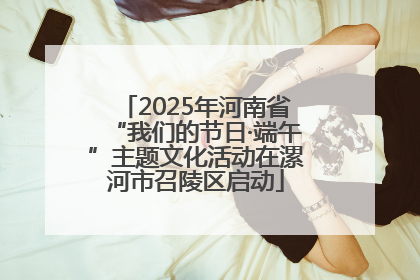 2025年河南省“我们的节日·端午”主题文化活动在漯河市召陵区启动