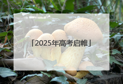 2025年高考启帷