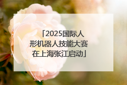 2025国际人形机器人技能大赛在上海张江启动