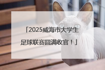2025威海市大学生足球联赛圆满收官！