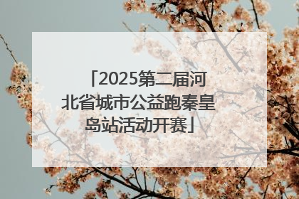 2025第二届河北省城市公益跑秦皇岛站活动开赛