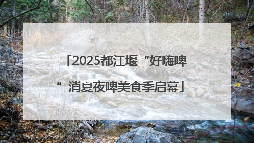 2025都江堰“好嗨啤”消夏夜啤美食季启幕