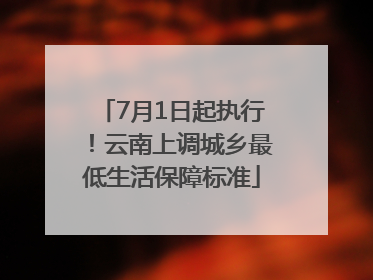 7月1日起执行！云南上调城乡最低生活保障标准