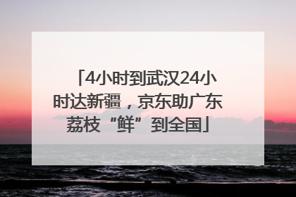 4小时到武汉24小时达新疆，京东助广东荔枝“鲜”到全国