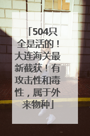 504只全是活的！大连海关最新截获！有攻击性和毒性，属于外来物种