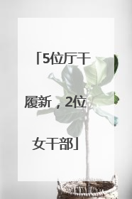 5位厅干履新，2位女干部