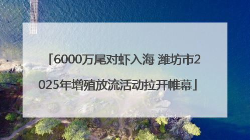 6000万尾对虾入海 潍坊市2025年增殖放流活动拉开帷幕
