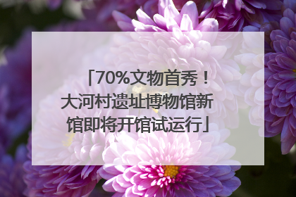 70%文物首秀！大河村遗址博物馆新馆即将开馆试运行
