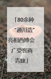 80余种“通川造”亮相西博会 广受客商青睐