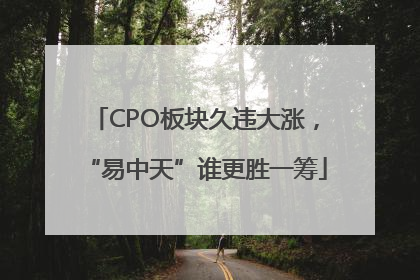 CPO板块久违大涨，“易中天”谁更胜一筹