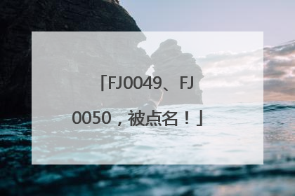 FJ0049、FJ0050，被点名！